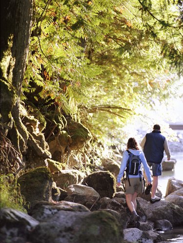 夫妇在徒步旅行,走在岩石沿着河,后视图