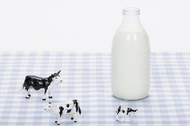Toy cows and bottle of milk