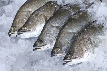 barramundi information nutrition fish fresh livestrong grill rock caught market getty