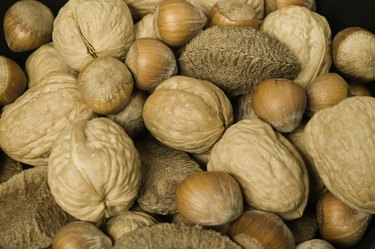 Mixed edible nuts in shells close-up
