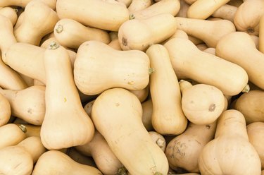 Butternut winter squash at market