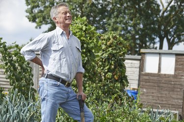 Senior Man Suffering From Back Pain Whilst Gardening