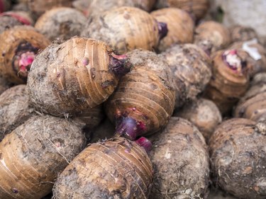 Taro, Asian vegetable