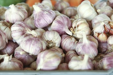 street market garlic