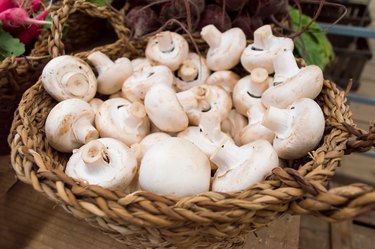 mushrooms in the basket