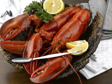 lobster