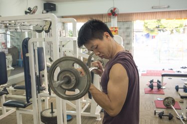 Handsome Bodybuilder performing barbell biceps curls