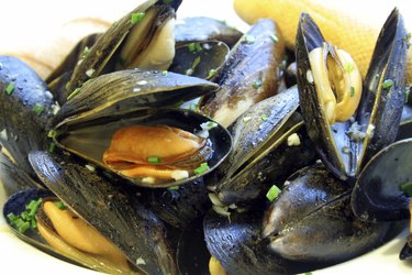 Steamed Mussels