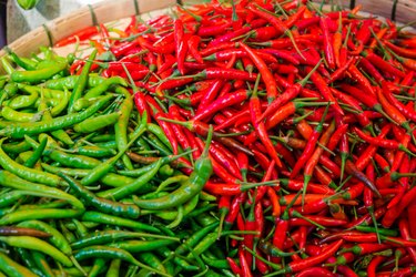 green red chilli