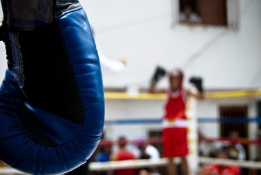 Different 2024 boxing equipment