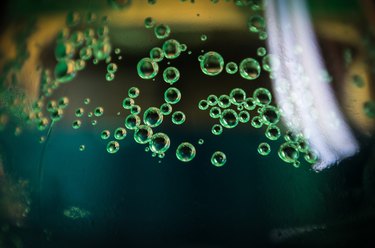 Oxygen bubbles.