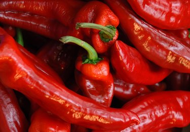 red chillis