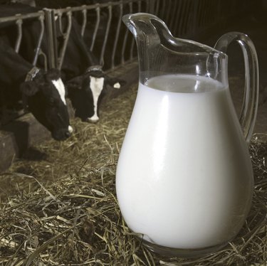 Close-up of a pitcher filled with milk