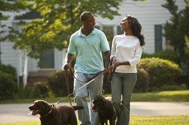 couple walking dogs