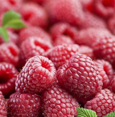 raspberry