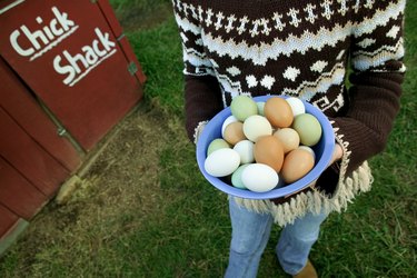 Close-up of a girl holding a plate full of fresh eggs near the ?chick shack?.