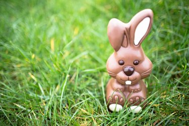 chocolate rabbit in grass