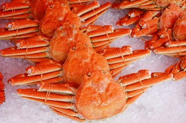 Boiled Red king crabs on the ice