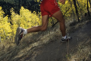 Jogger running on trail through forest, low section