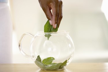 Person placing leaves into glass teapot, close up
