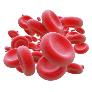 Blood Cells isolated