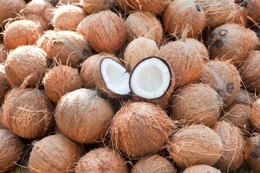 Coconut