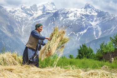 Agricultural time