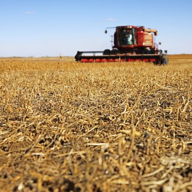 Tractor and Soybean Field