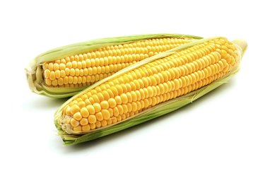Ears of maize