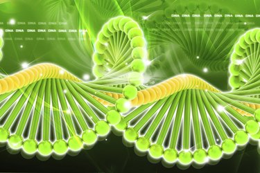 DNA in digital design