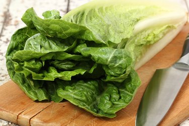 Romaine Lettuce