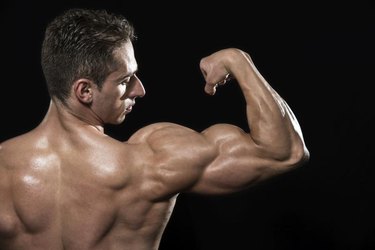 Young Bodybuilder Flexing Muscles - Isolated On Black Background - Copy Space