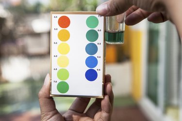 Compound Interest: Acids, Alkalis, and the pH Scale