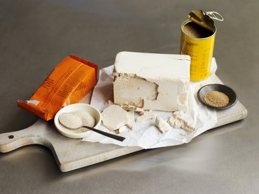 Assorted types or forms of yeast, including block of compressed yeast and powdered yeast