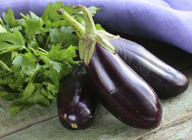ripe purple eggplant