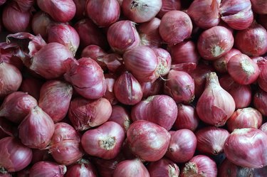 Thai red onion