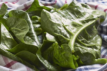 Malabar spinach leaves