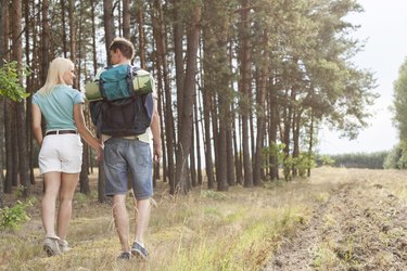 年轻夫妇手牵手在森林徒步旅行的后视图