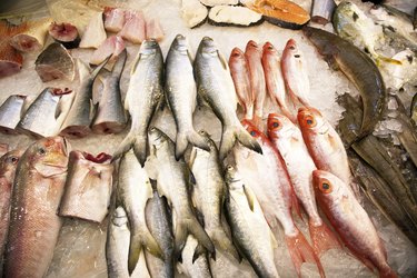 whole fresh fishes are offered in the fish market