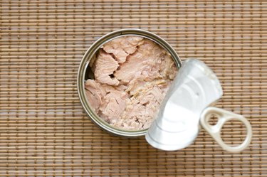 Tinned Tuna Fish.