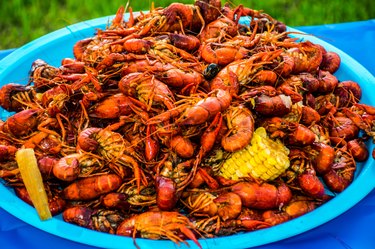 Cooked Crawdad