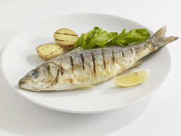 Seabass