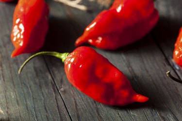 Spicy Hot Bhut Jolokia Ghost Peppers