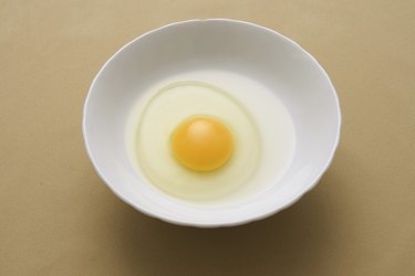 Egg