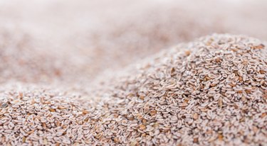 Psyllium Seeds Background