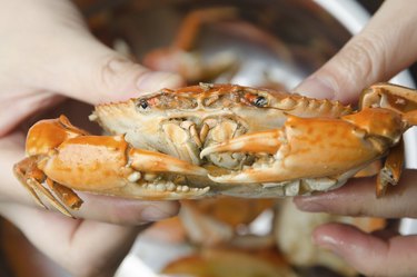 boiling frozen crab