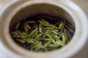 tea of lotus stamen