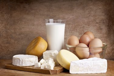 dairy products