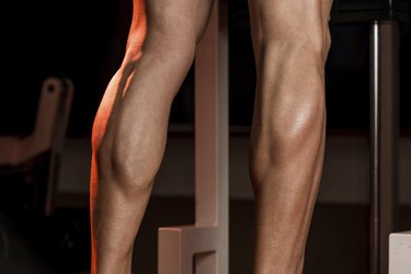 Sporty Legs Calf