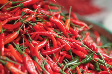 Red Chili Peppers pile in market